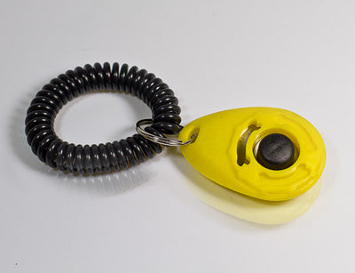Premium Clicker Click-IT, gelb mit Spiralarmband FRABO