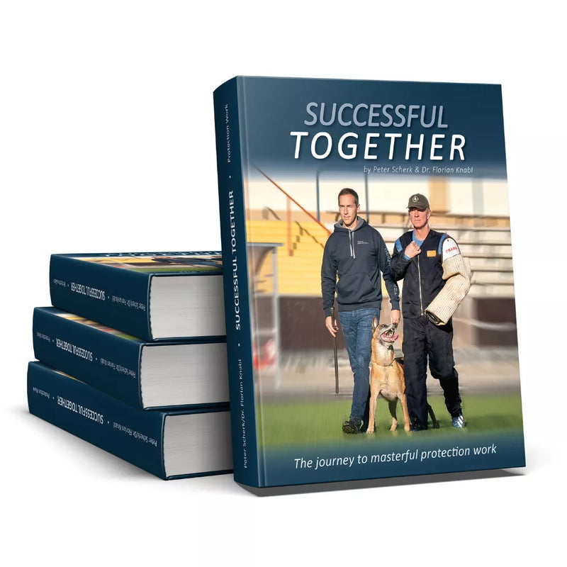 Successful Together- The Journey To Masterful Protection Work (English) Bücher