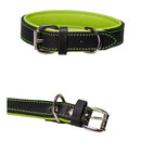 Lederhalsband, 30 mm, grün FRABO