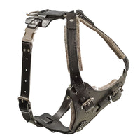 Hetzgeschirr FRABO extra, mit 2 Klickverschlüssen FRABO