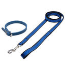 Welpenset Halsband & Leine "Leder - blau" FRABO