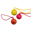 Ball mit Noppen und Handschlaufe FRABO