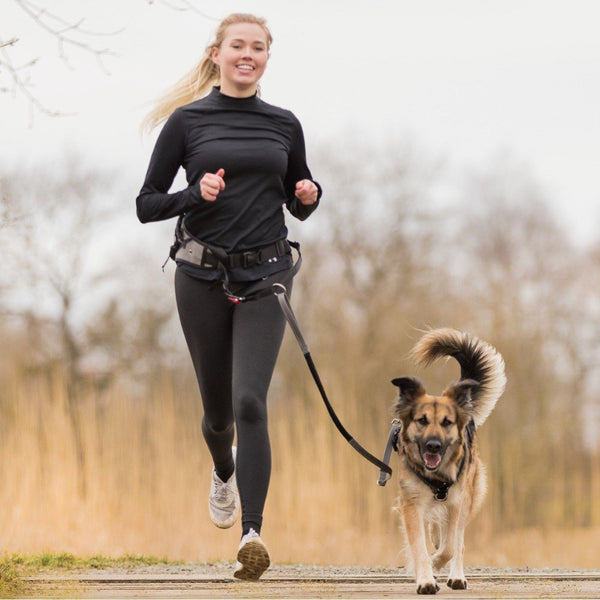 Jogginggurt mit Leine FRABO