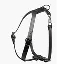 FRABO Suchgeschirr FRABO