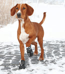 Walker Active Hundeschutzstiefel FRABO