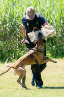 Technik-Kurzarm "Heuwinkl 2", breit FRABO