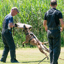 Technik-Kurzarm "Heuwinkl 2", breit FRABO