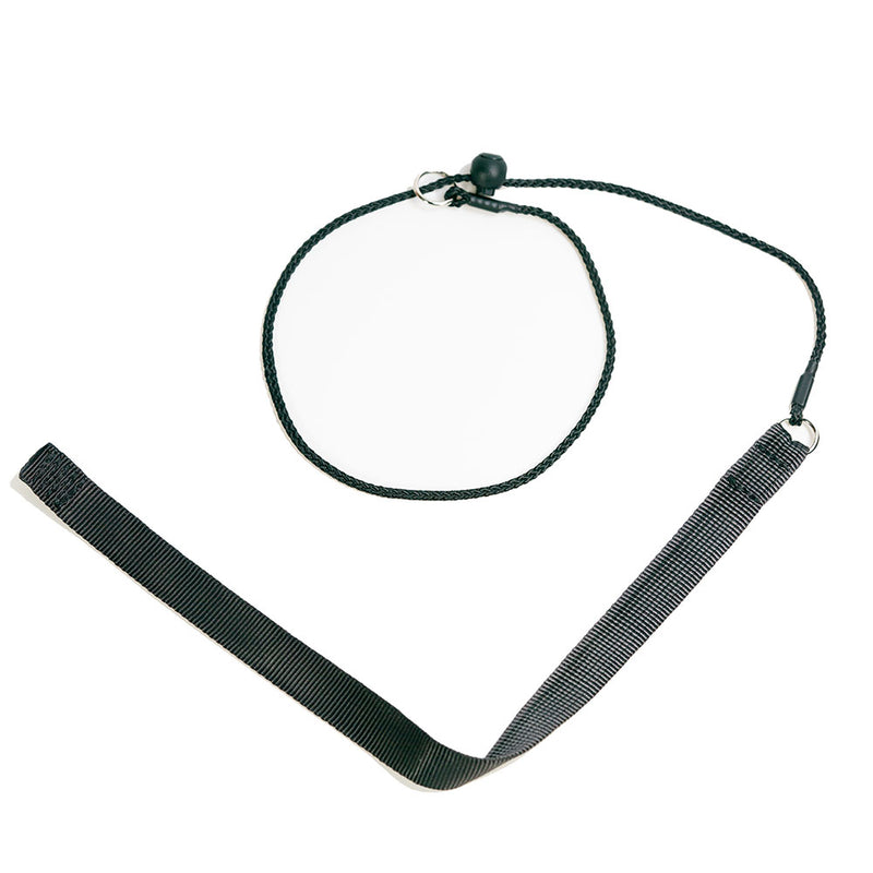 Einwirkungshalsband 4 mm, schwarz mit Gurtband FRABO