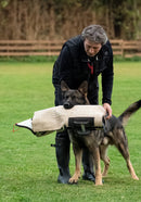 Technik-Schutzarm "Heuwinkl 2", breit mit Oberteil FRABO