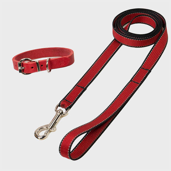 Welpenset Halsband & Leine "Leder - rot" FRABO