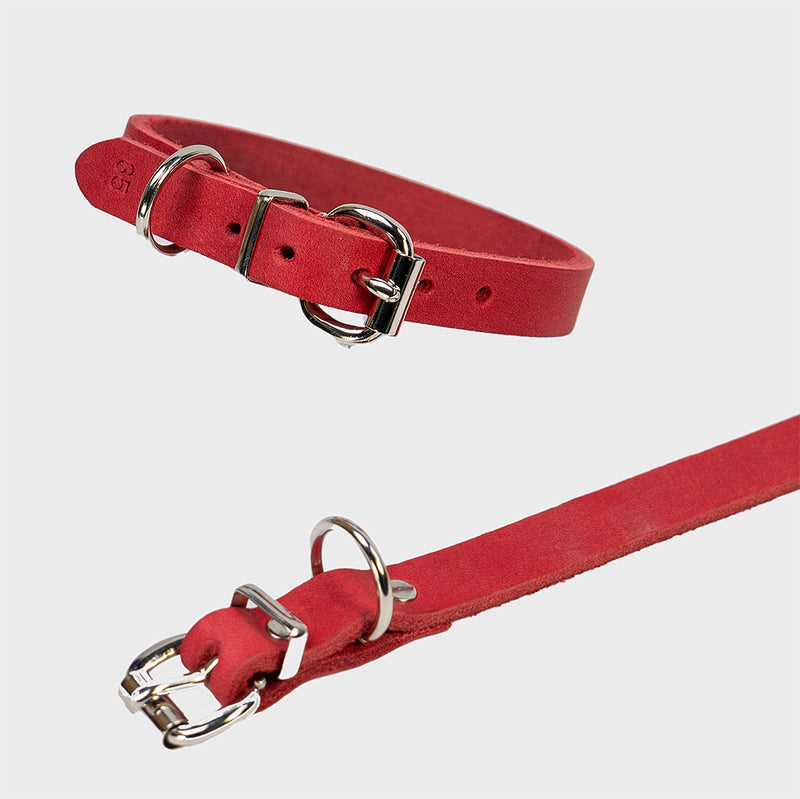 Welpenset Halsband & Leine "Leder - rot" FRABO