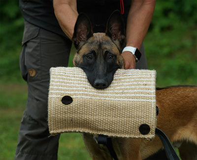 FRABO Beisskissen Jute, mit Griff und Lederschaufe FRABO