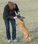 Team Heuwinkl Starter Kit für Welpen FRABO